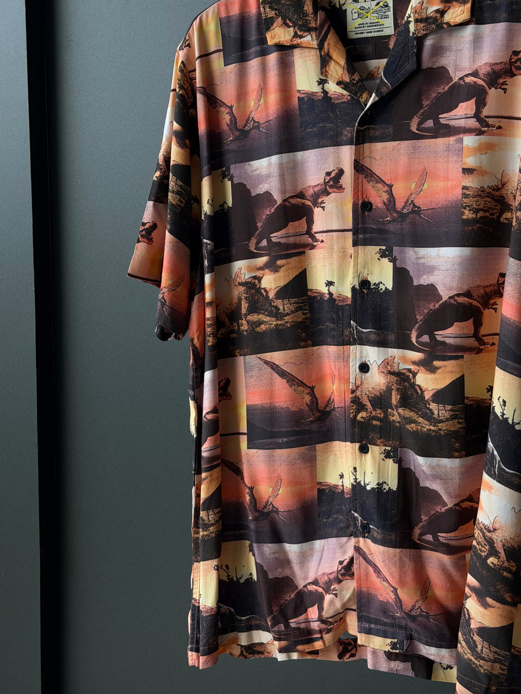 Complimentary Graphic Oversized shirt 31