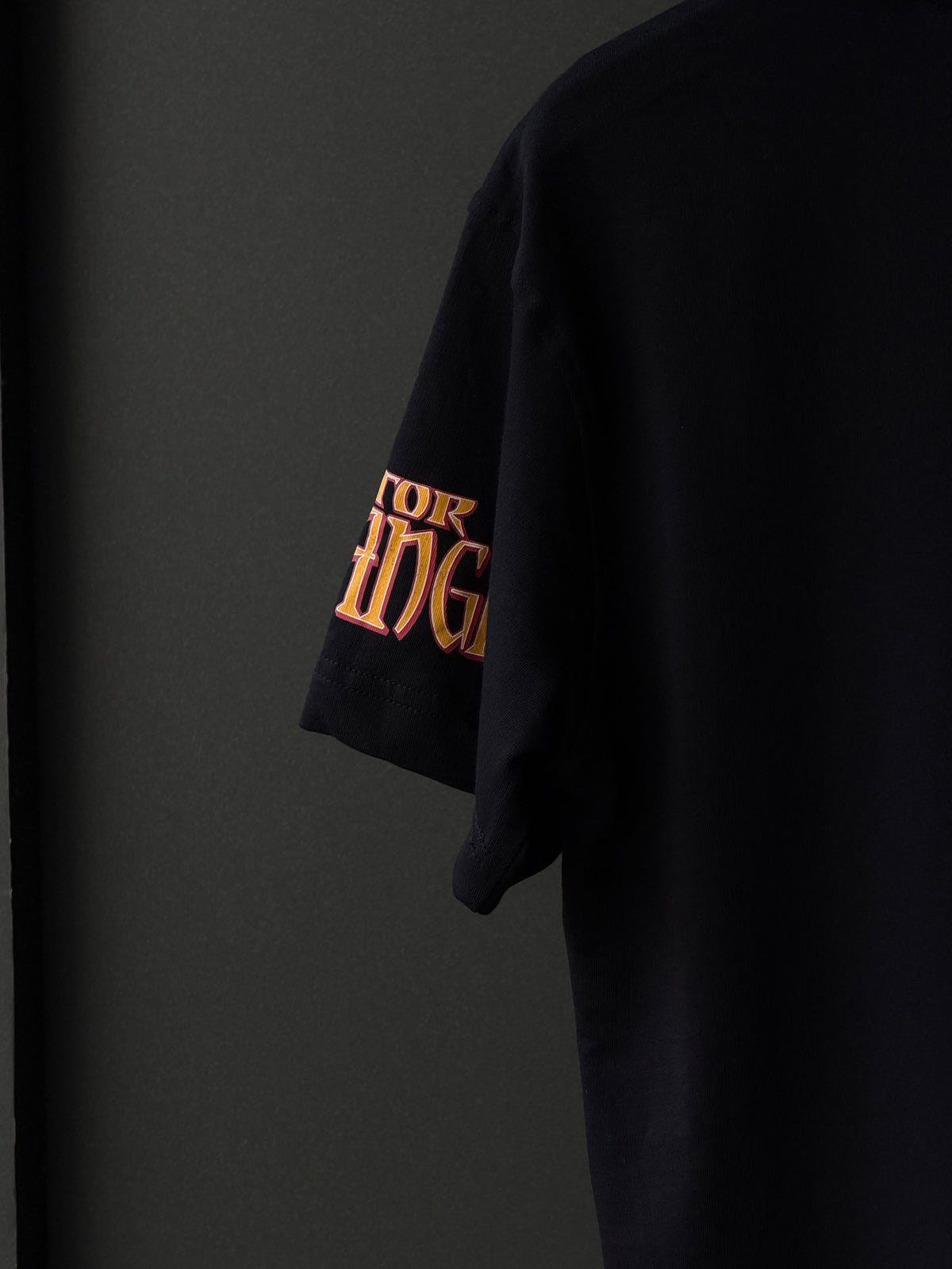 Complimentary Graphic Oversized T-shirt 27