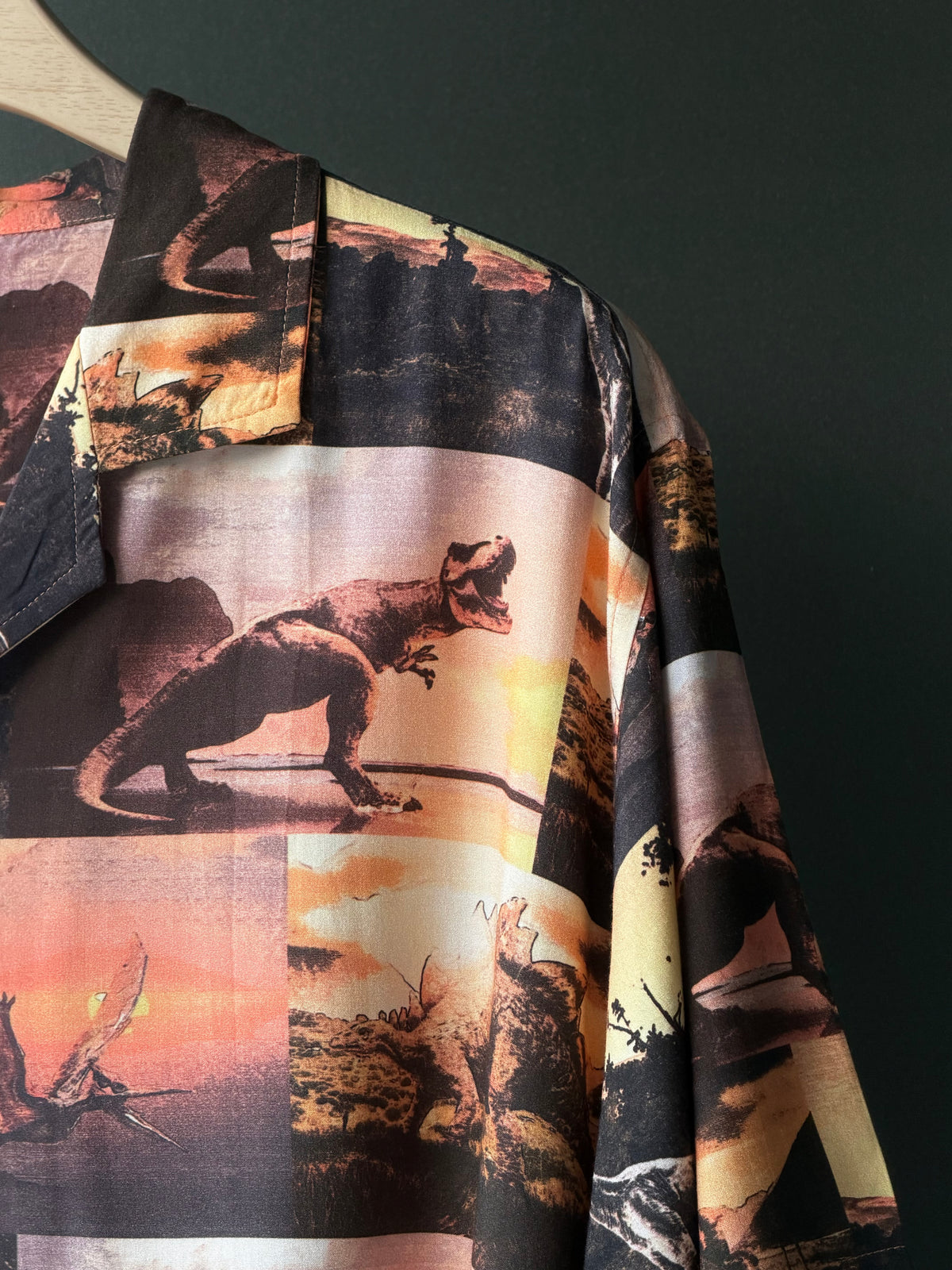 Complimentary Graphic Oversized shirt 31