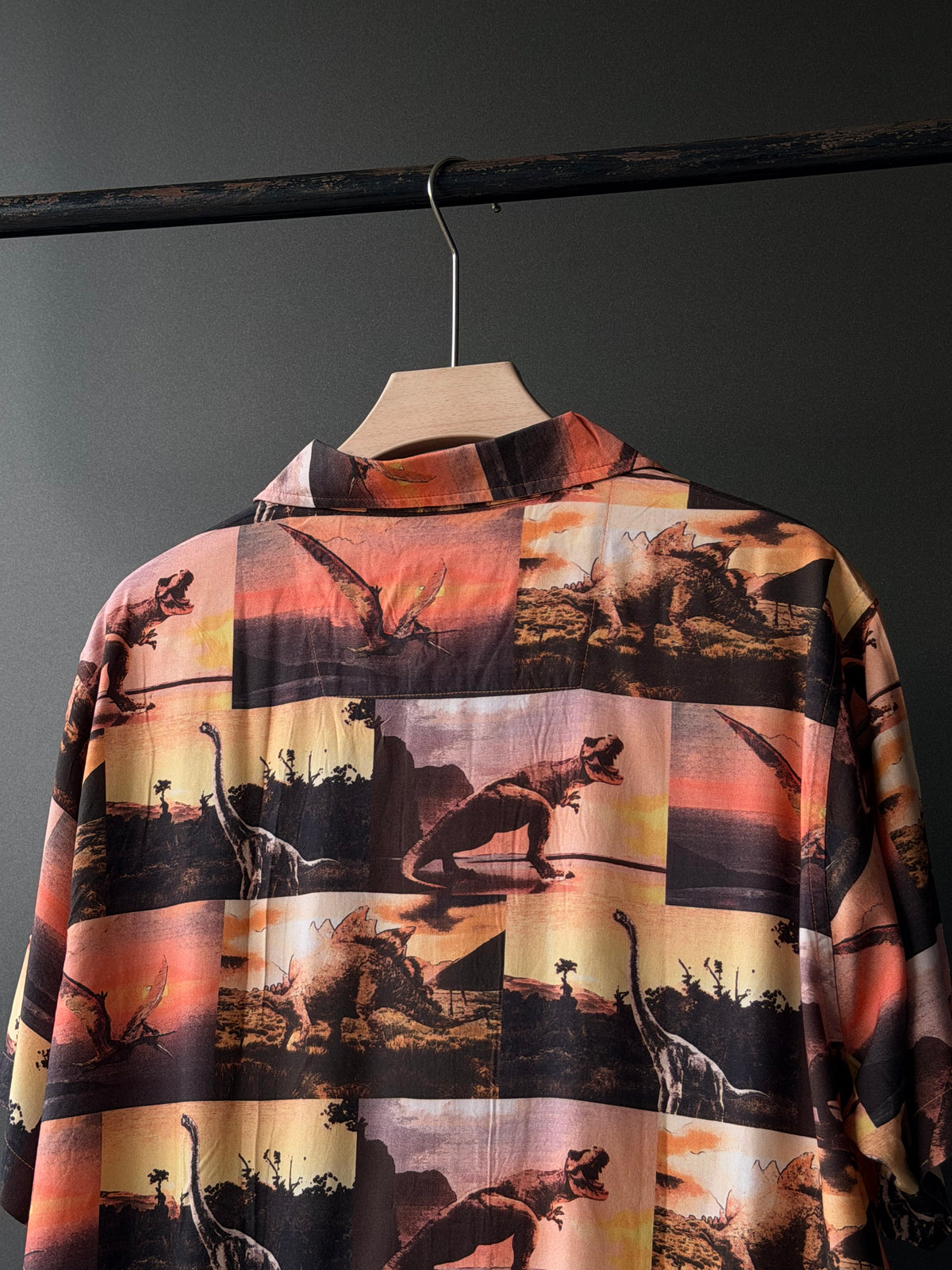 Complimentary Graphic Oversized shirt 31