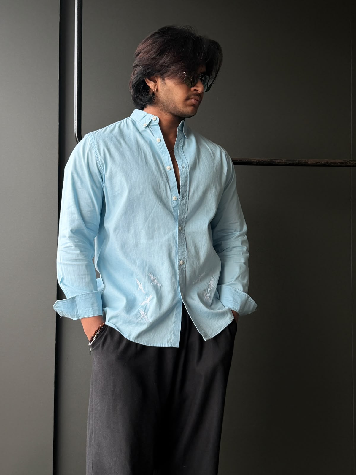 Sky Flight Embroidery        fullsleeve shirt